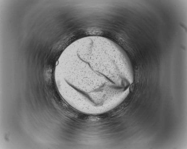 X0000099560263200806131240