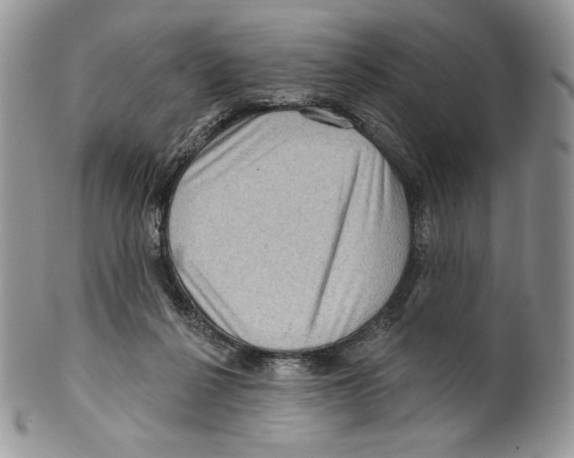 X0000099560264200806131240