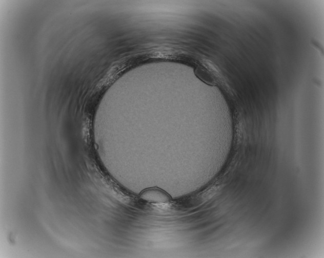 X0000099560265200806131240