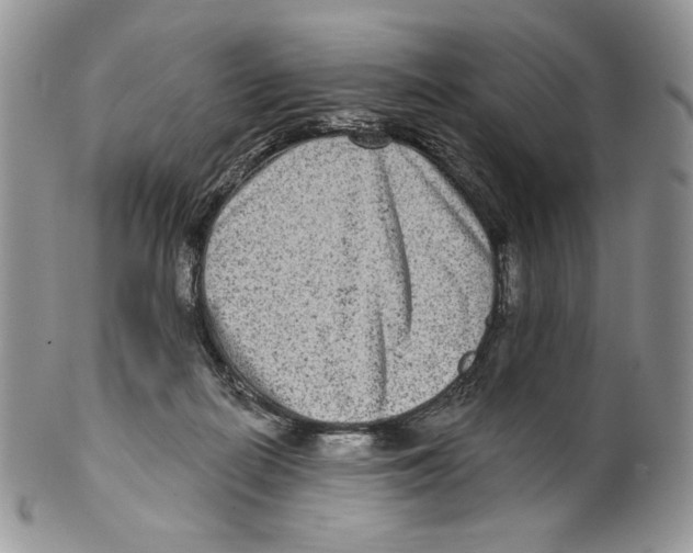 X0000099560266200806131240