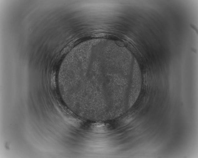 X0000099560267200806131241