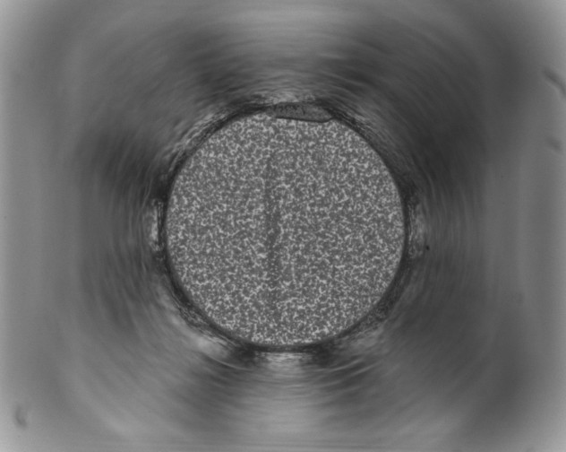 X0000099560268200806131241