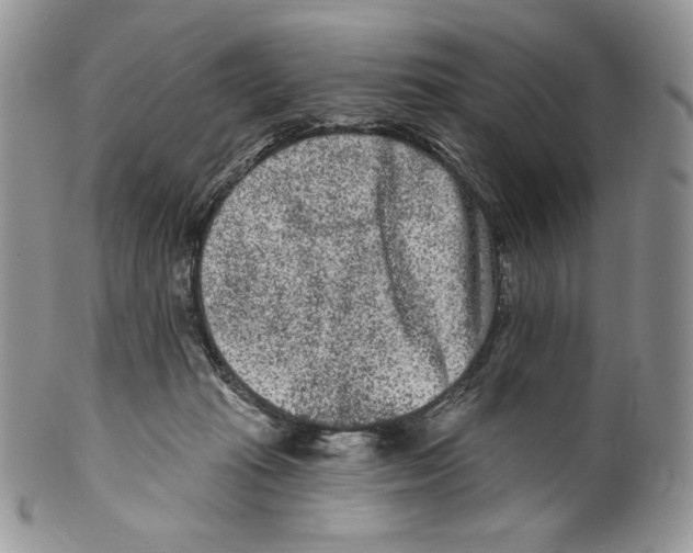 X0000099560269200806131241