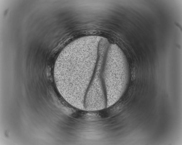 X0000099560270200806131241