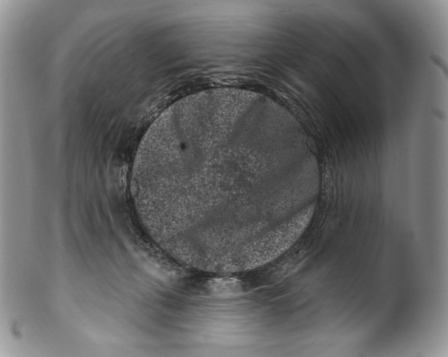 X0000099560271200806131241