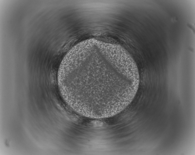 X0000099560272200806131241