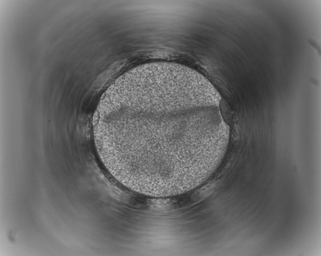 X0000099560273200806131241