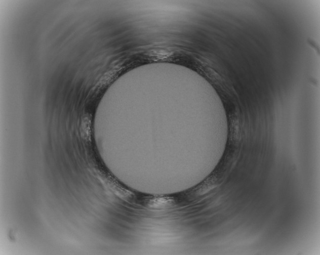 X0000099560274200806131241