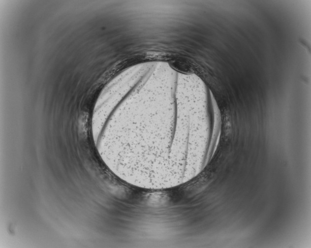 X0000099560275200806131241