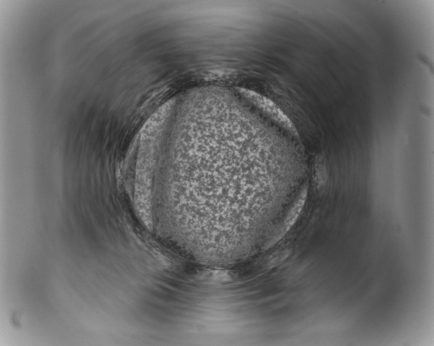X0000099560276200806131241