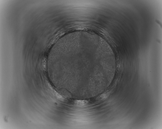X0000099560277200806131241
