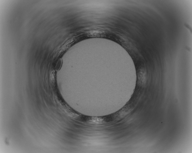X0000099560278200806131241