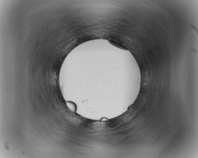 X0000099560279200806131241