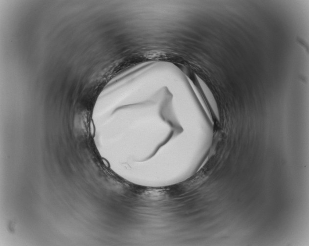 X0000099560280200806131241