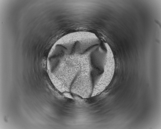 X0000099560281200806131241