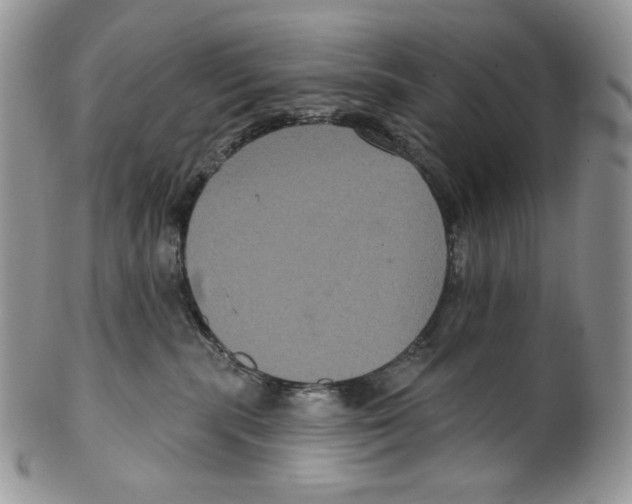 X0000099560283200806131241