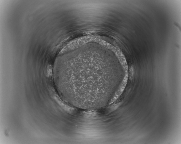 X0000099560284200806131241