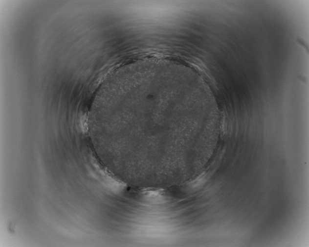 X0000099560285200806131241
