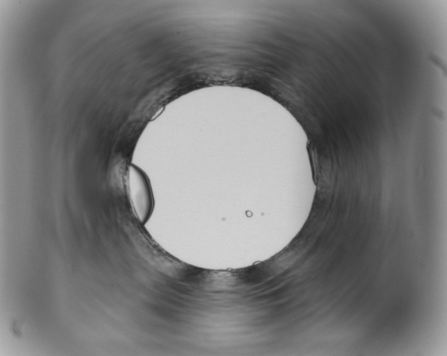 X0000099560287200806131241
