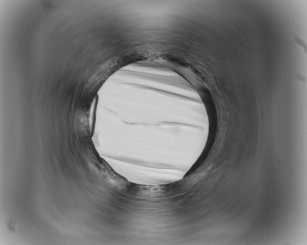 X0000099560288200806131241