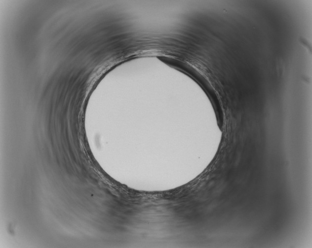 X0000099560289200806131240