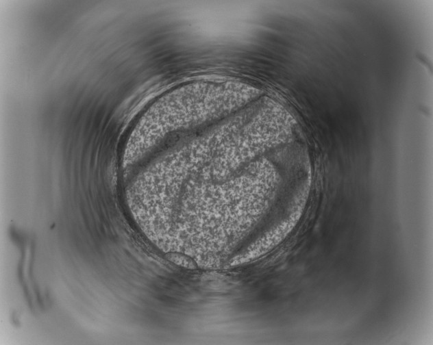 X0000099560290200806131240