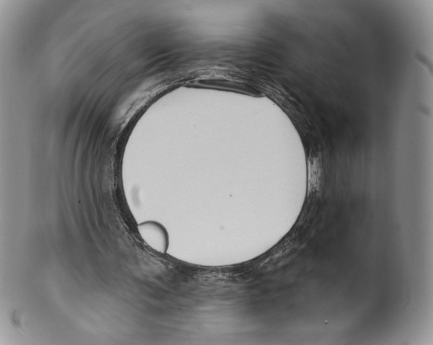 X0000099560291200806131240
