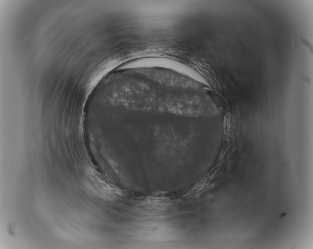 X0000099560292200806131240