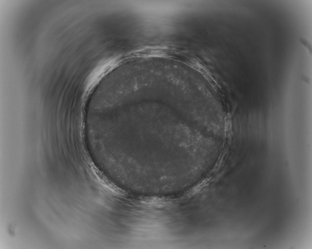 X0000099560293200806131240
