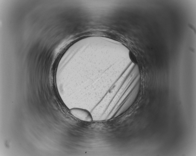 X0000099560294200806131240