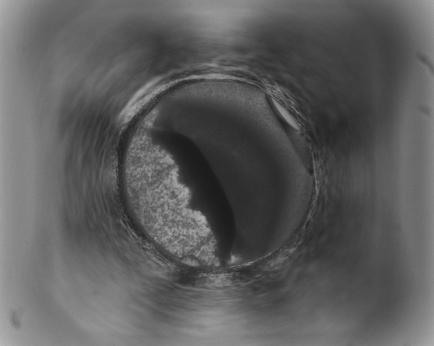 X0000099560295200806131240