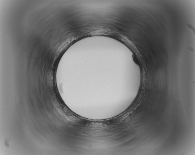 X0000099560298200806131240