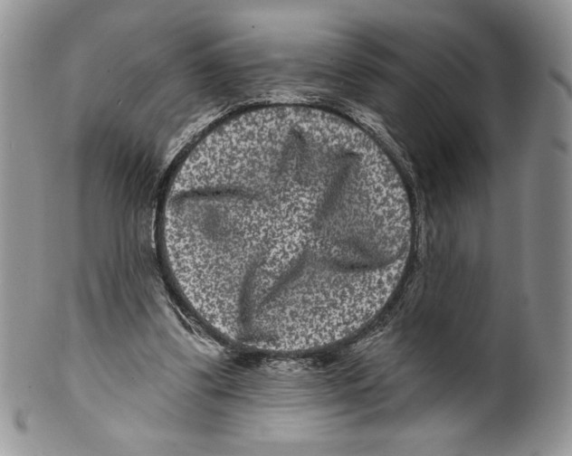 X0000099560299200806131240