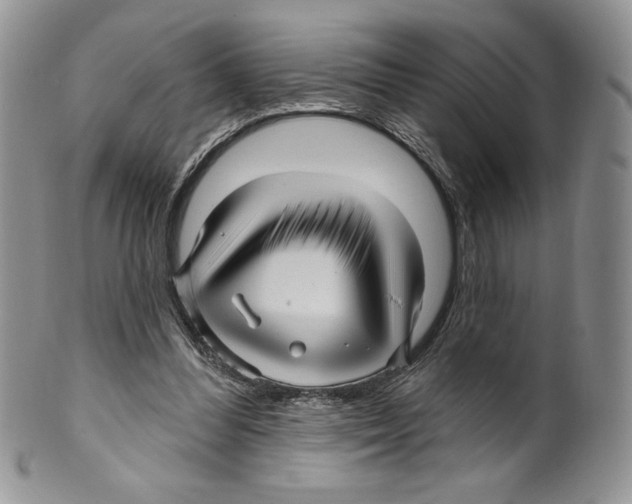 X0000099560300200806131240