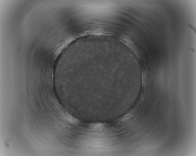 X0000099560301200806131240