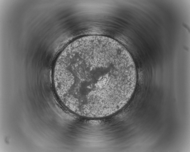 X0000099560302200806131240