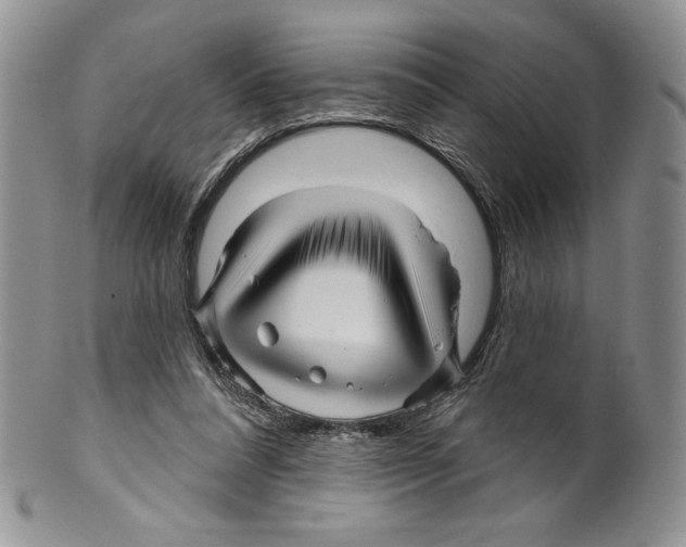 X0000099560304200806131240