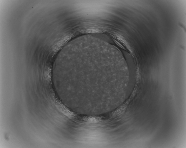 X0000099560305200806131240