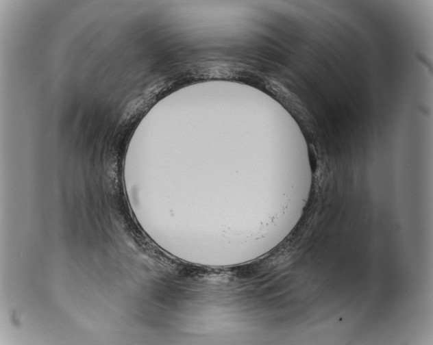 X0000099560306200806131240