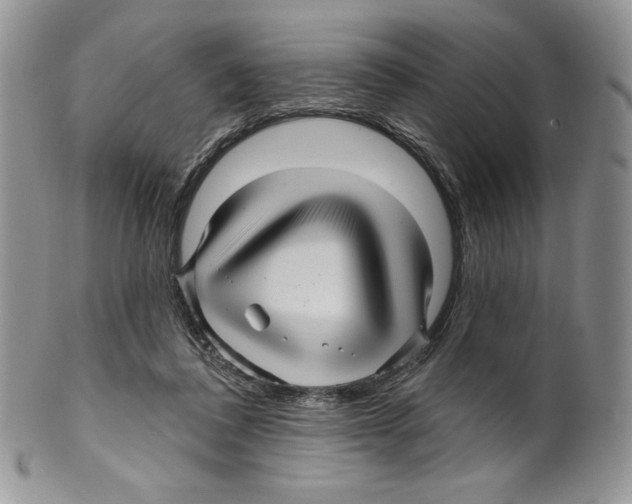 X0000099560308200806131240