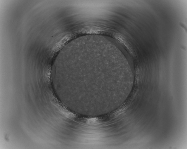X0000099560309200806131240