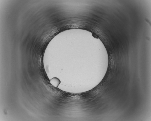 X0000099560310200806131240