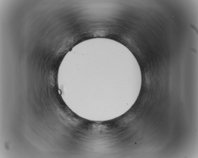 X0000099560311200806131240