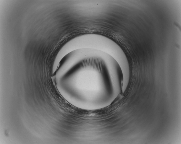 X0000099560312200806131240