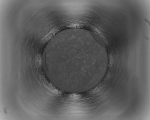 X0000099560313200806131240