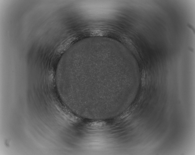 X0000099560314200806131240