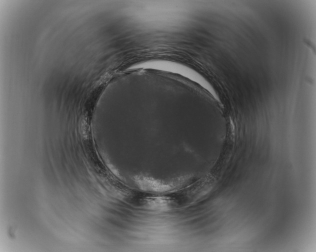 X0000099560316200806131240