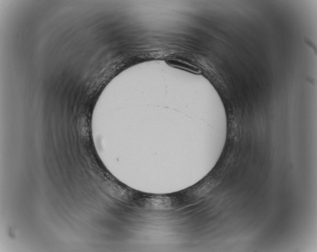 X0000099560317200806131240