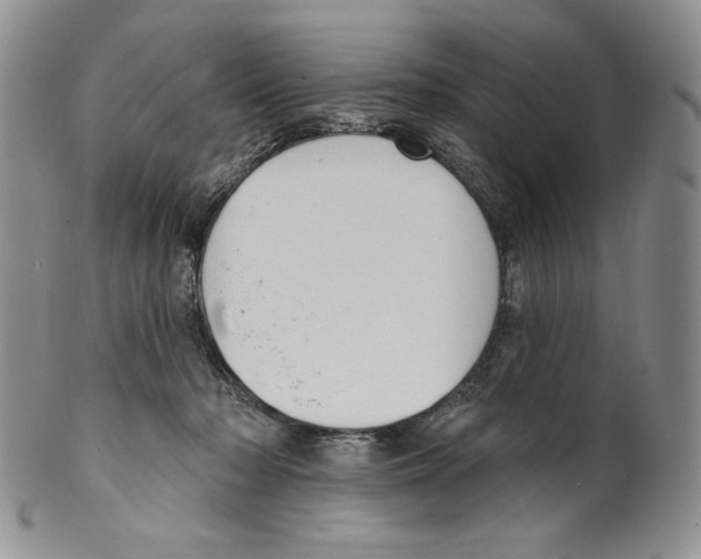 X0000099560318200806131240