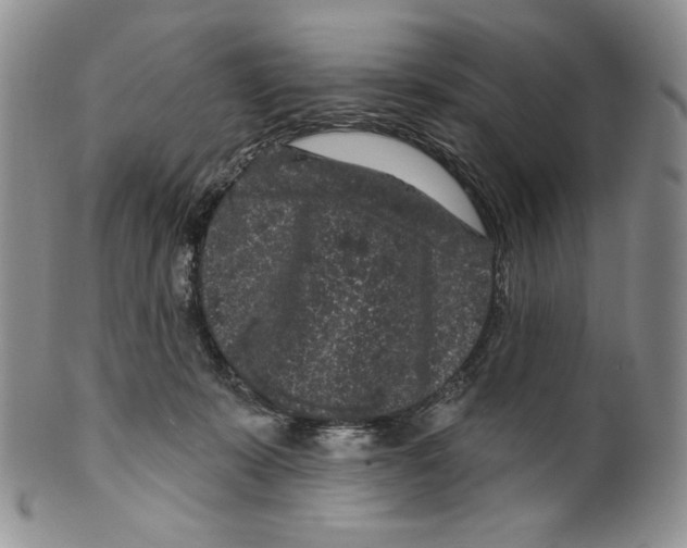 X0000099560319200806131240